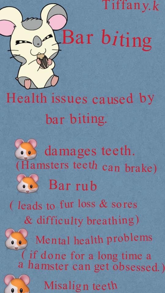 Why do Hamsters Bite the Cage Bars? What can you do?
