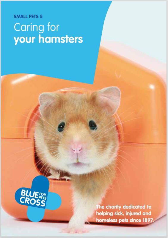 Fluffy Hamster Bedding Serious Risk RSPCA Advice!