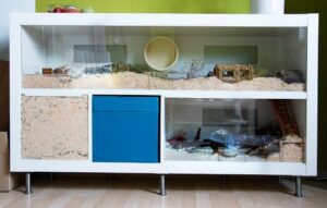 Converted Ikea Unit with Deep Burrow Section