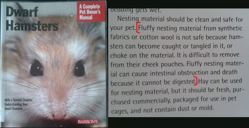 Fluffy Hamster Bedding Serious Risk RSPCA Advice!