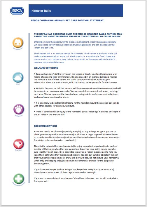 Are Hamster Balls Safe? No! The RSPCA say they are dangerous!