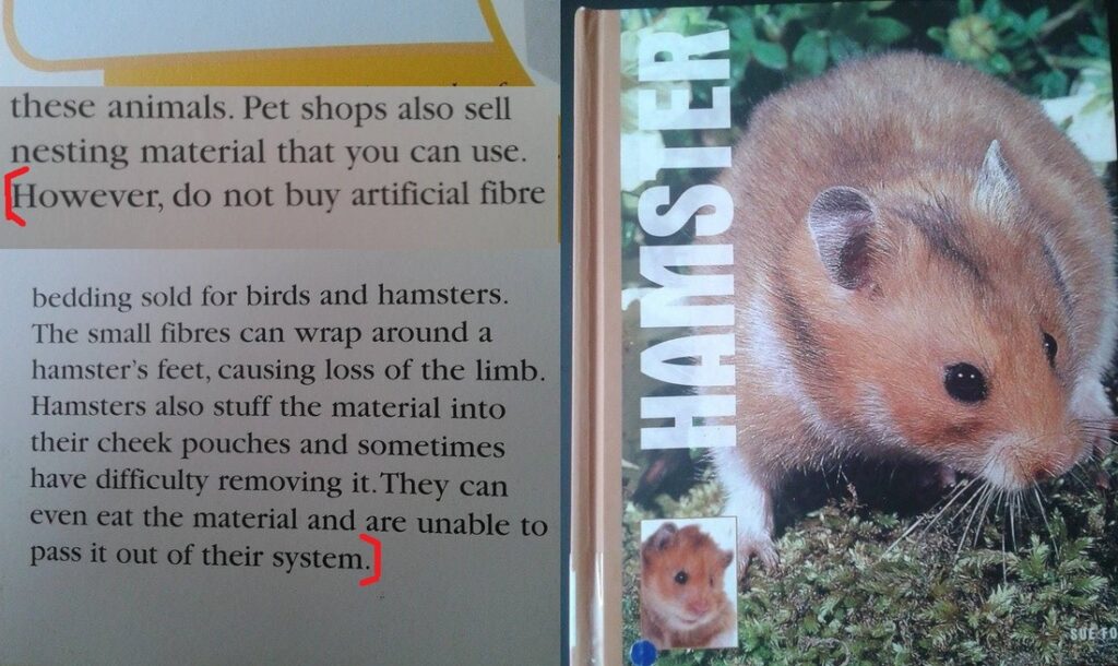 Fluffy Hamster Bedding Serious Risk RSPCA Advice!