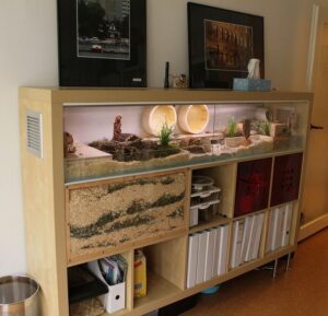 Converted Ikea Unit with Hamster Burrow Section