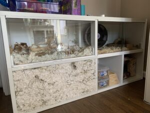 Ikea Unit Very Large Hamster Burrow Section