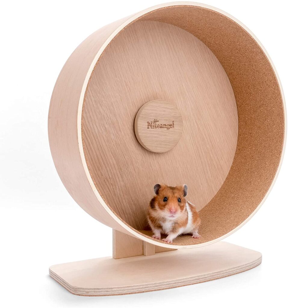 Hamster Wheel 28cm is the Minimum Size for Syrians to Prevent Pain