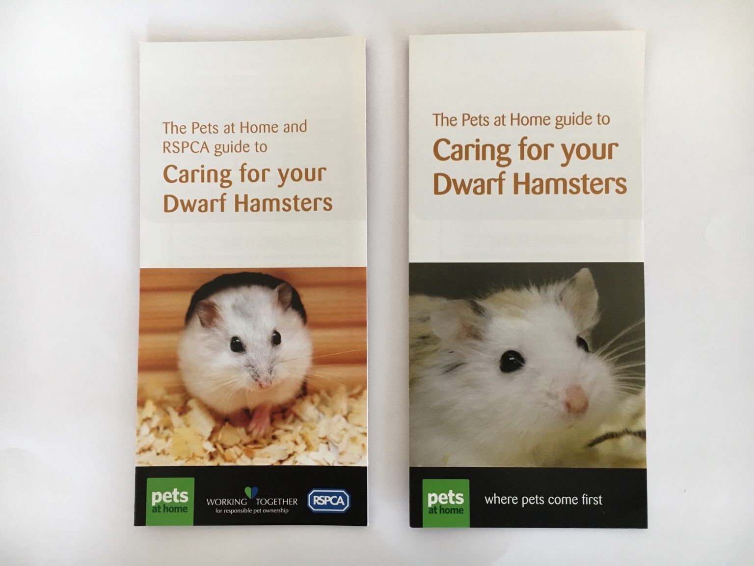 Pets at Home RSPCA Leaflet Issue Welfare Advice