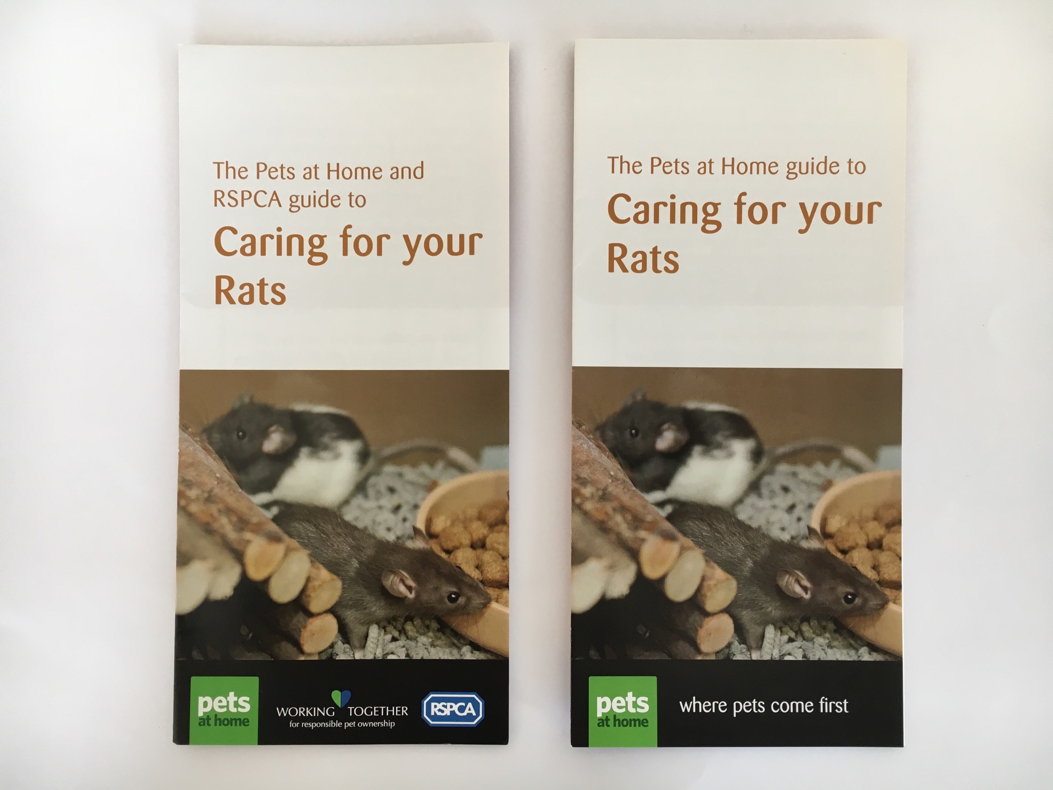 Pets at Home RSPCA Leaflet Issue Welfare Advice