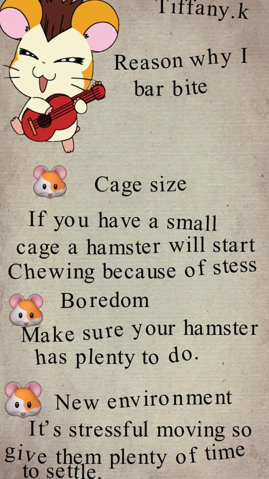 Why do Hamsters Bite the Cage Bars? What can you do?