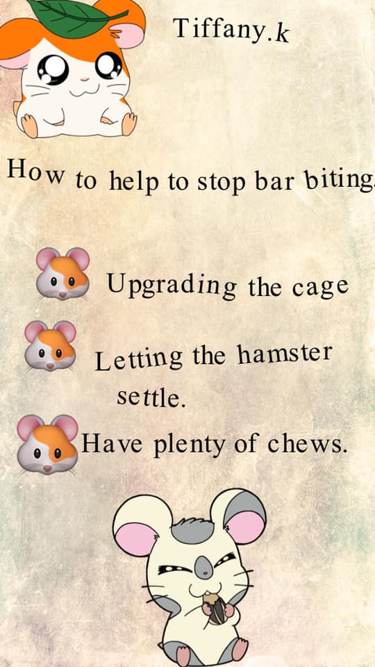Why do Hamsters Bite the Cage Bars? What can you do?