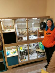 View of Amazing Hamster Cage and Tank Setups