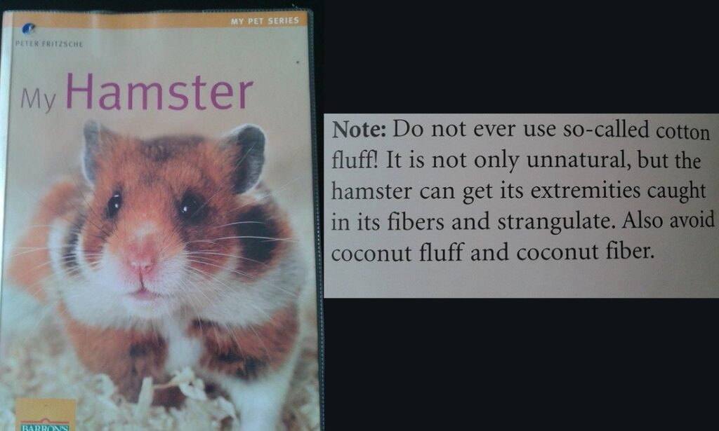 Fluffy Hamster Bedding Serious Risk RSPCA Advice!