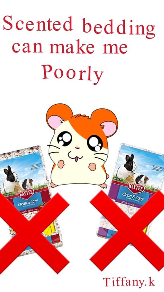 Scented Bedding is Dangerous for Hamsters
