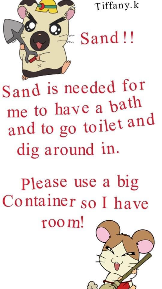 Hamster Sand Bath, Whats Safe to Use?
