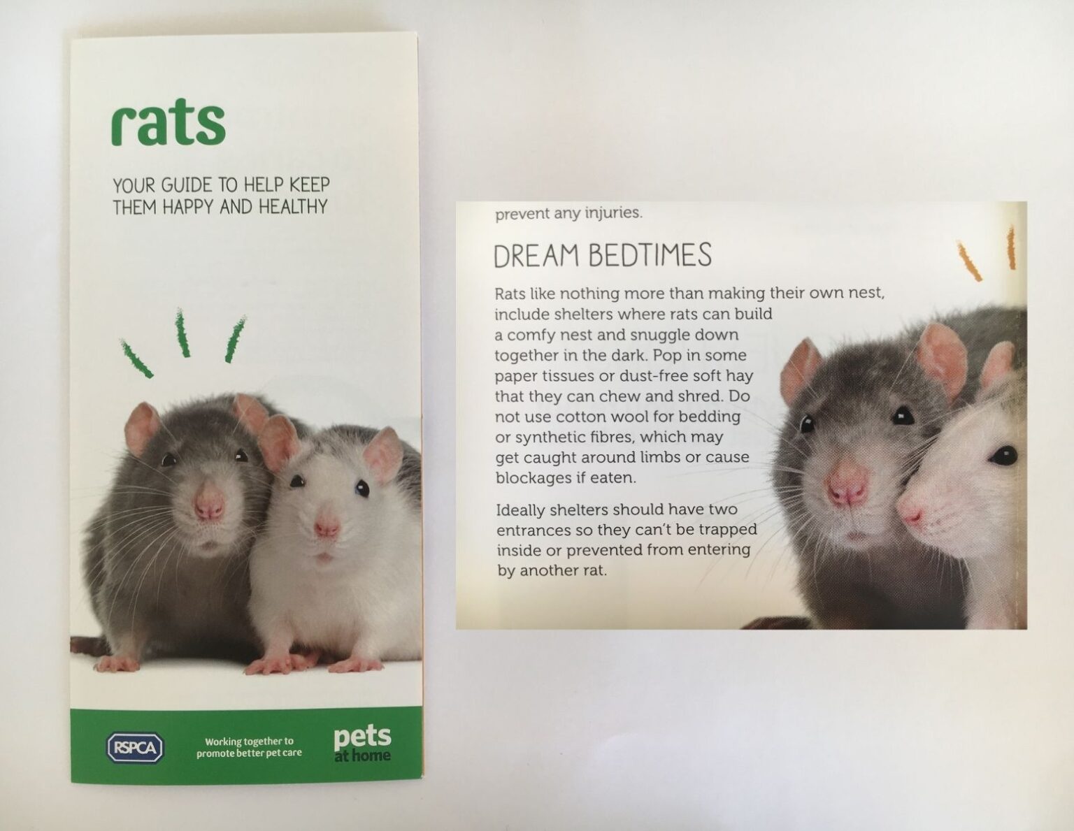 Pets at Home RSPCA Leaflet Issue Welfare Advice