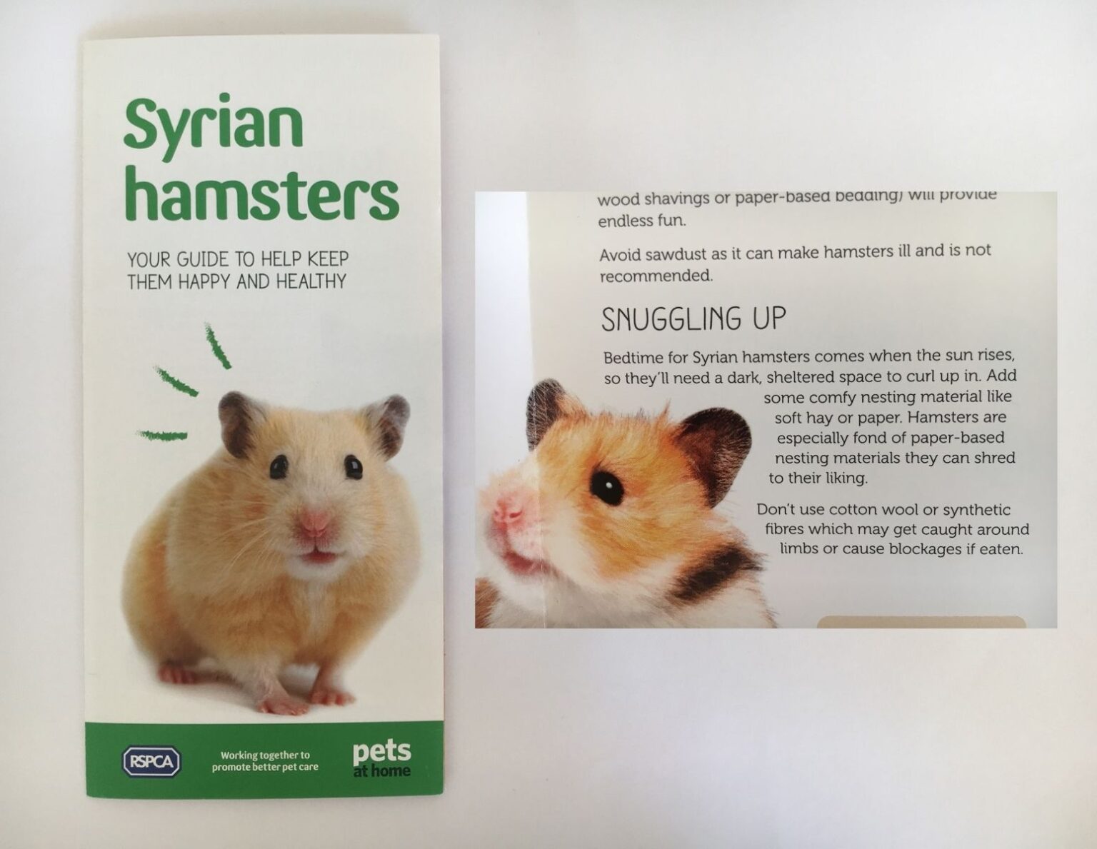 Pets at Home RSPCA Leaflet Issue Welfare Advice