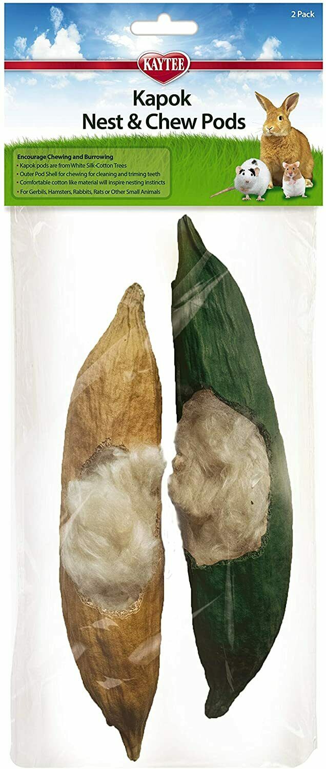 Fluffy Hamster Bedding Serious Risk RSPCA Advice!