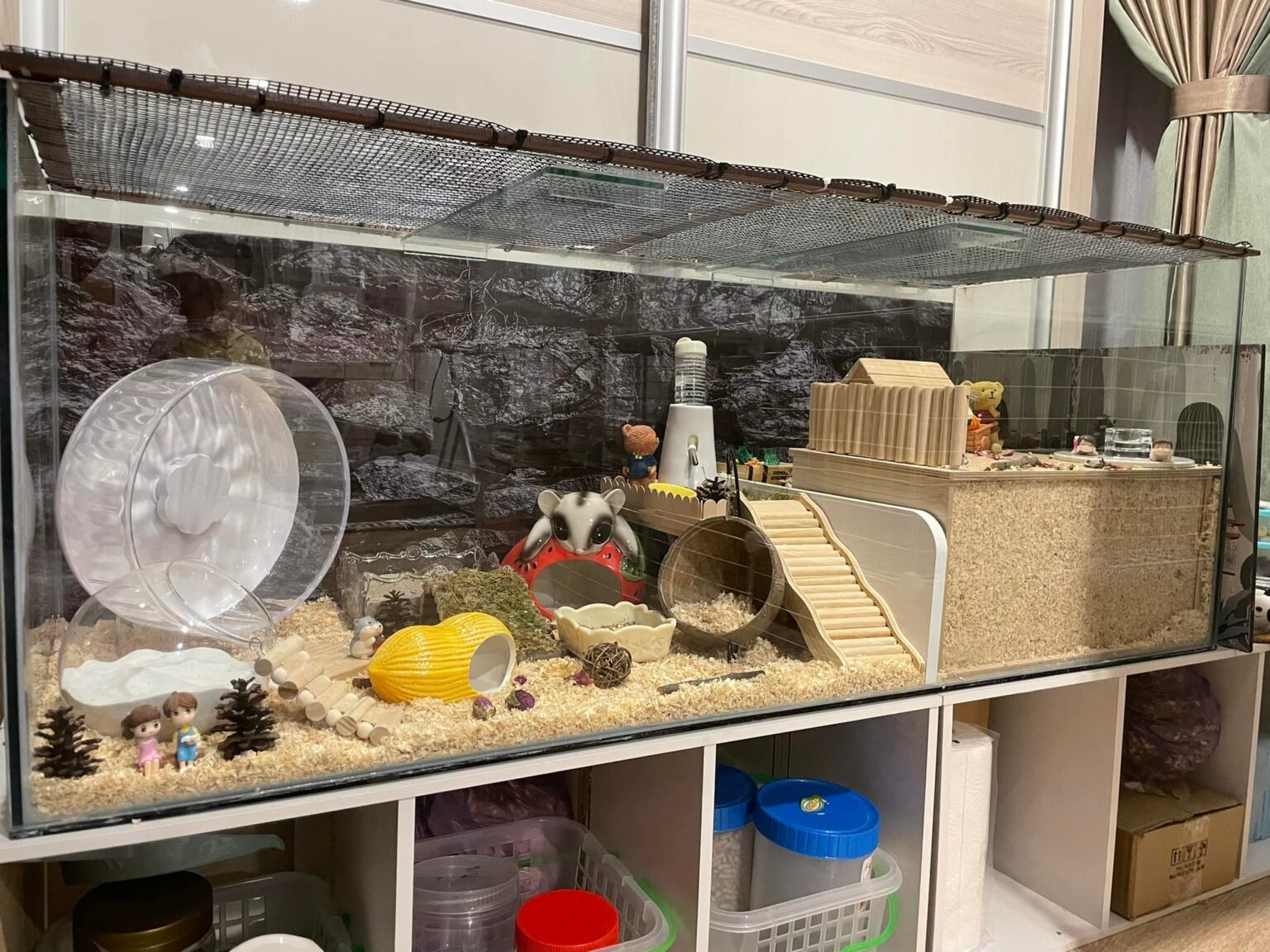 Hamster Cage Ideas for Your Hamster Setup