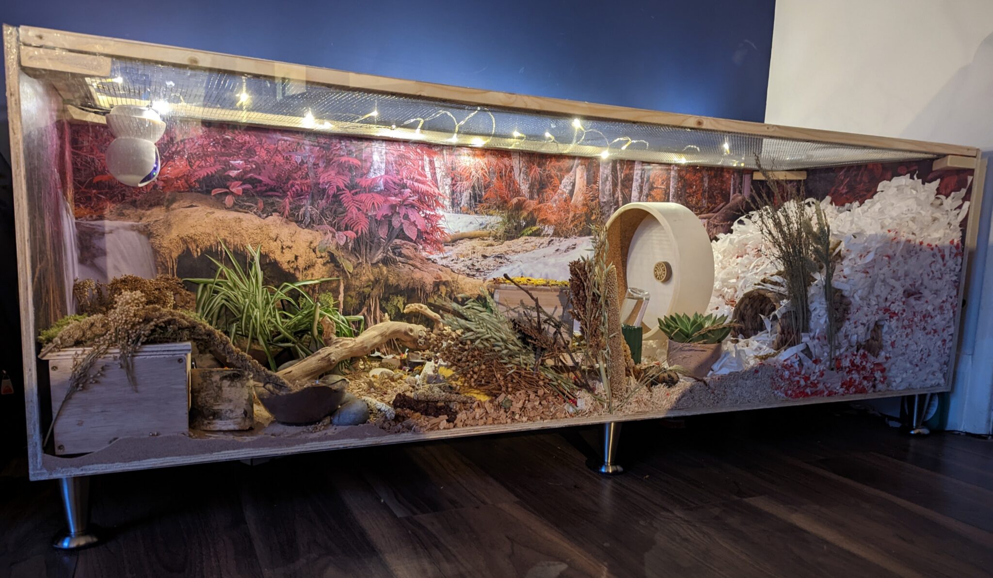 Gallery image with a fresh perspective
