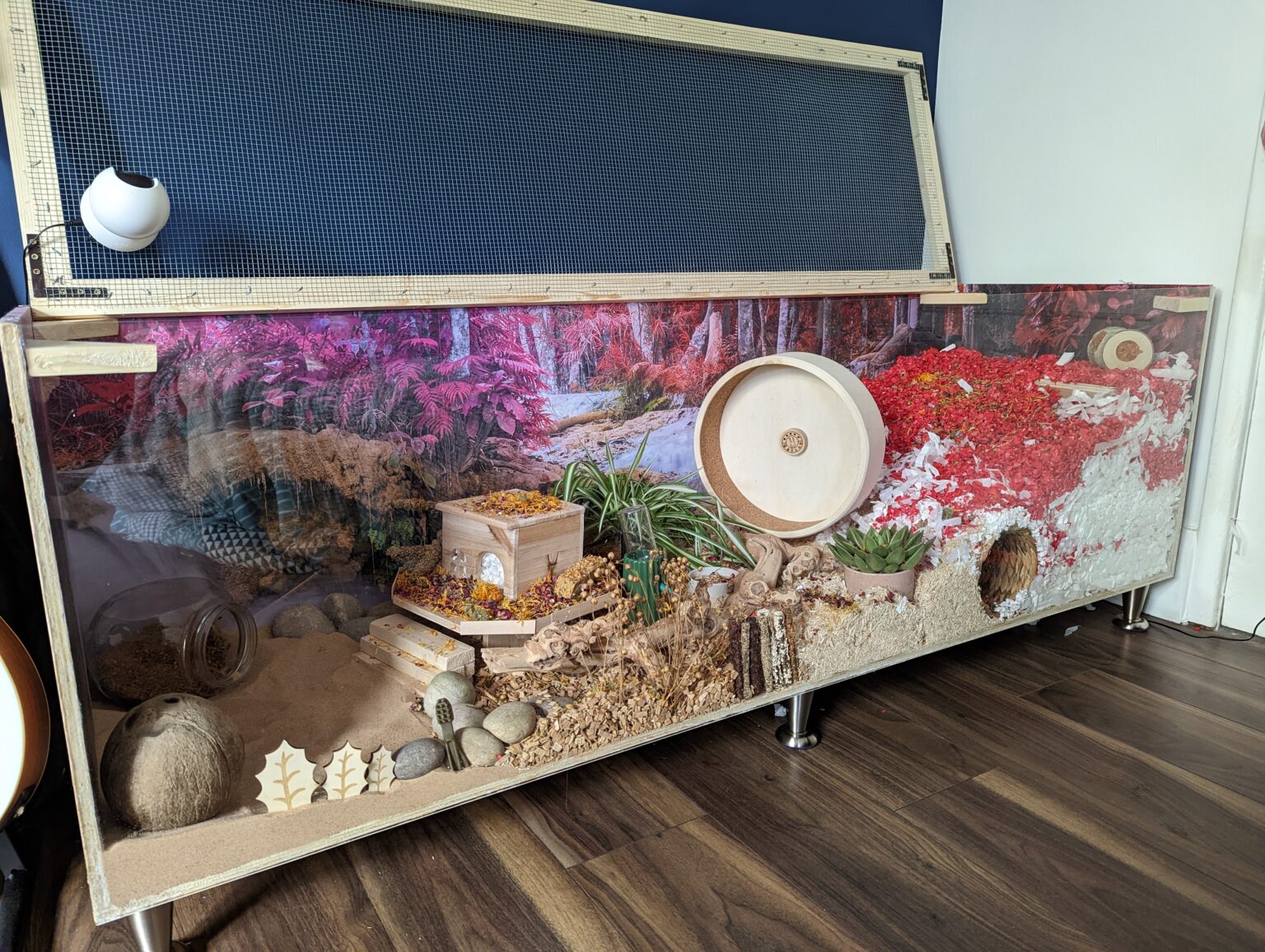 View of Hamster Cage Ideas for Your Hamster Setup