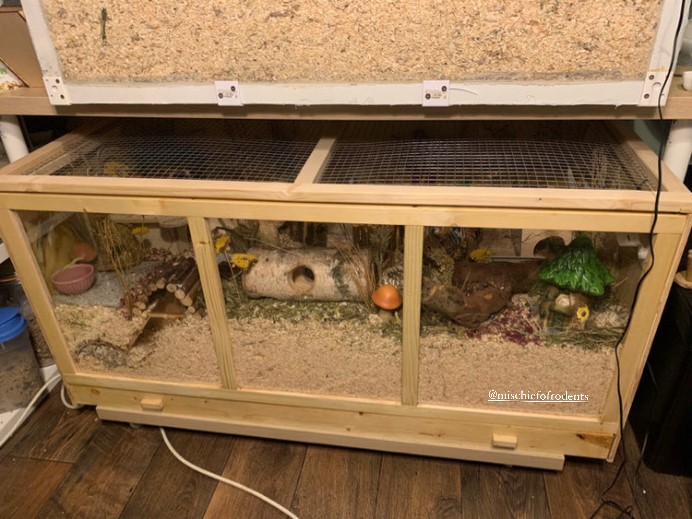 Pawhut enclosure for hamsters