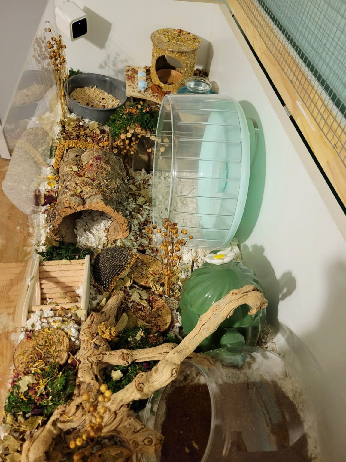 Picture of Hamster Cage Ideas for Your Hamster Setup