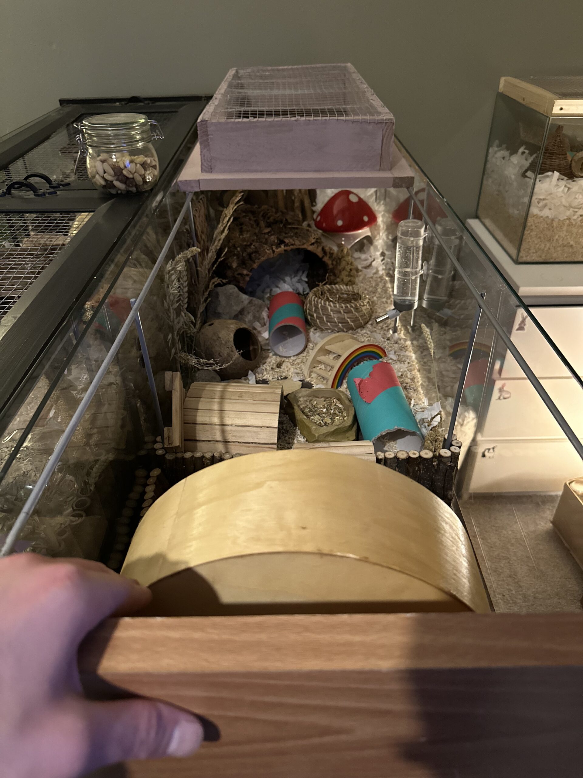 Inside view of Animal rescue enclosure for a hamster