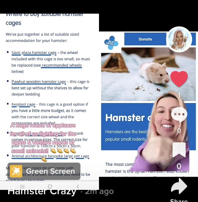 @nico_syrian_hamster showing Blue Cross recommend different cages