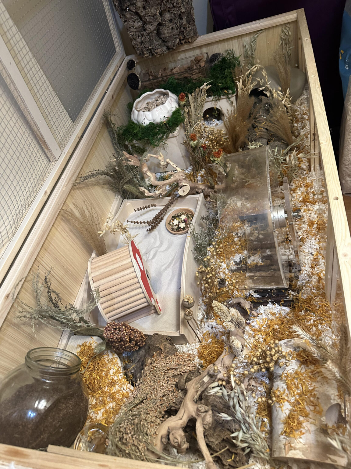Hamster Cage Ideas for Your Hamster Setup