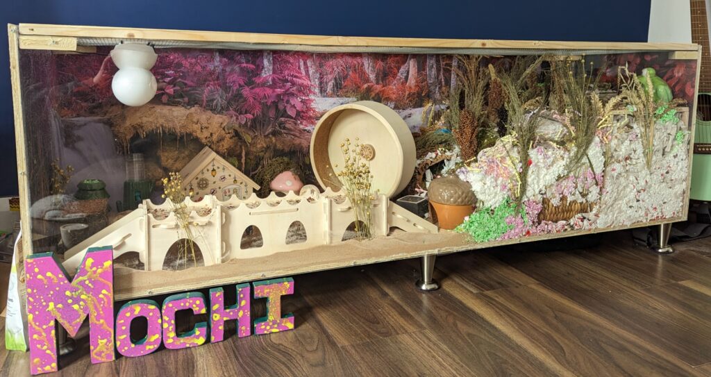 Hamster Cage Ideas for Your Hamster Setup