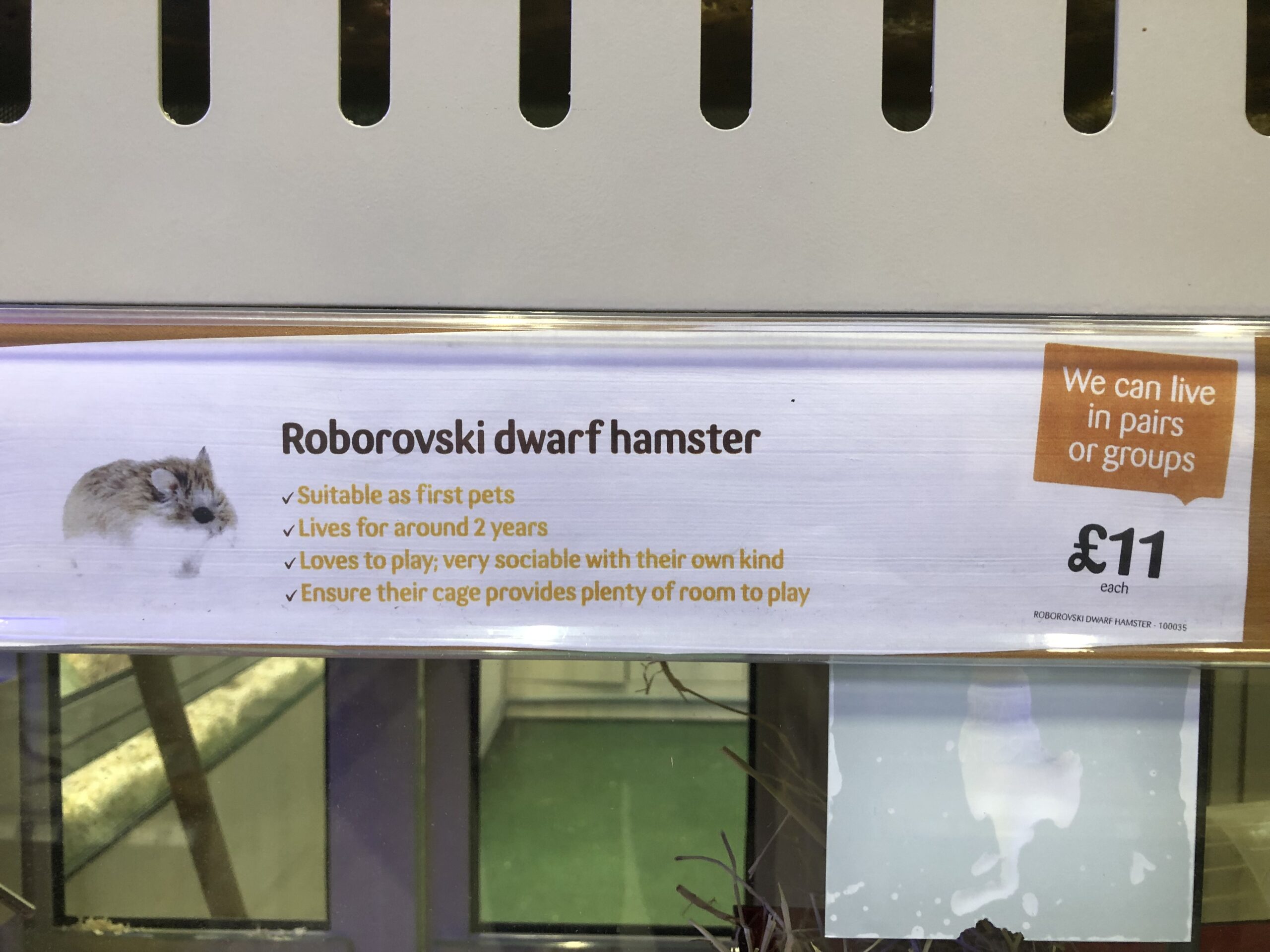 Pets at Home Robo Hamster Wrong Advice
