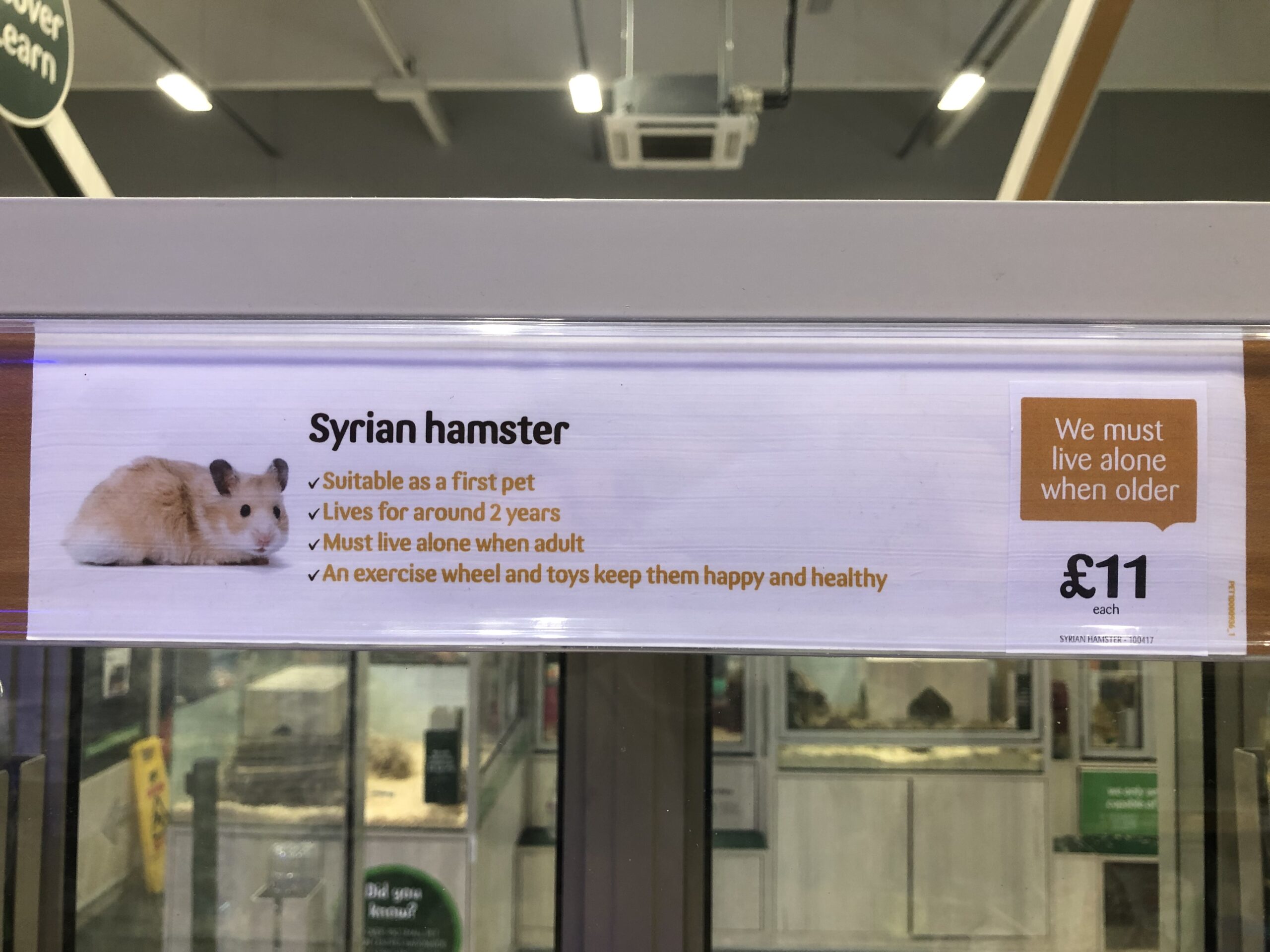 Pets at Home Syrian Hamster Advice