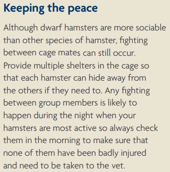 Lethal Advice from The RSPCA PDF