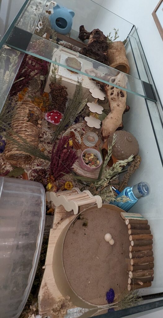 Picture of Hamster Cage Ideas for Your Hamster Setup