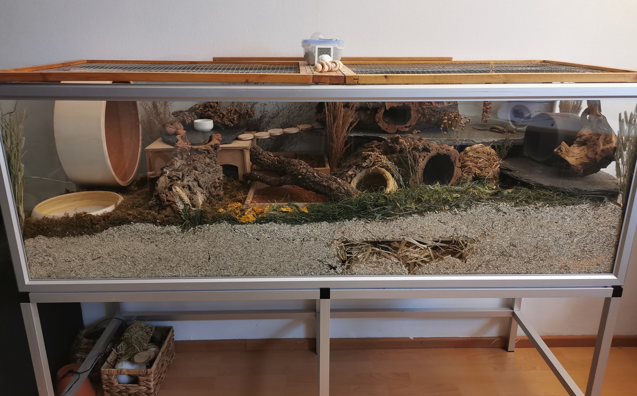 150cm x 55cm Aquarium for a Syrian hamster