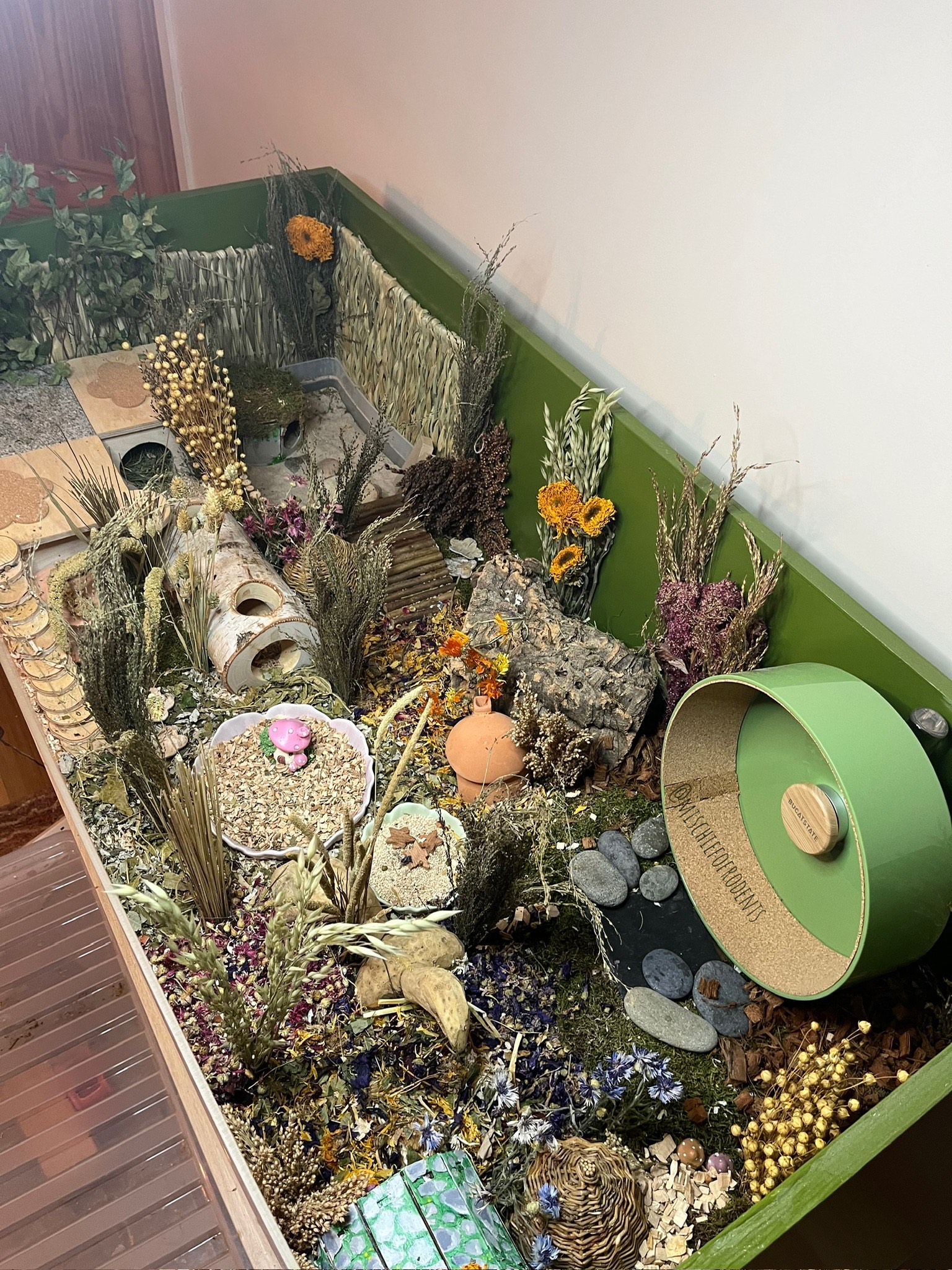 120cm x 60cm DIY Hamster Enclosure with Green Bucatstate Wheel