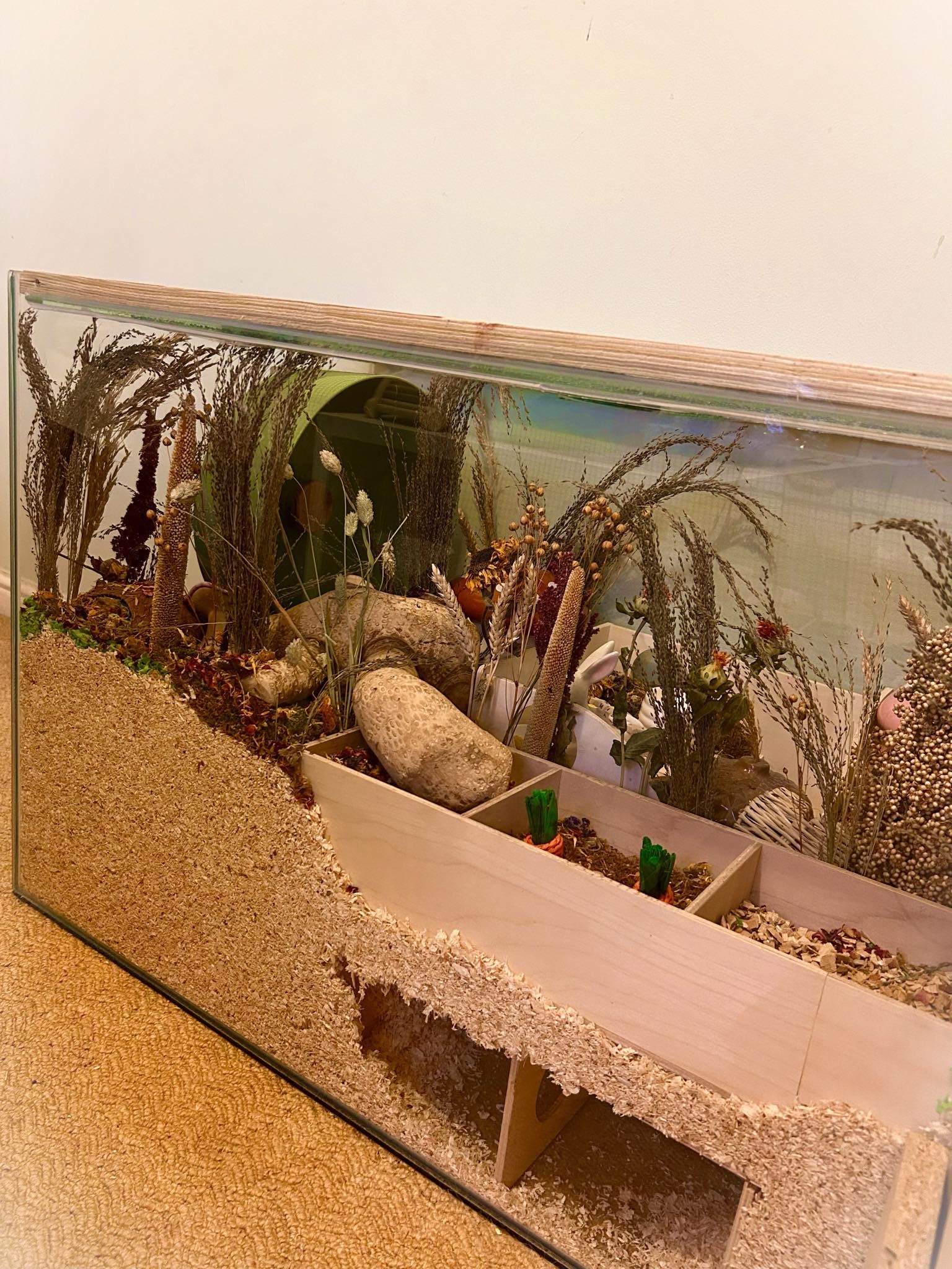 112cm x 50cm Tank with 14 inches of Bedding for a hamster