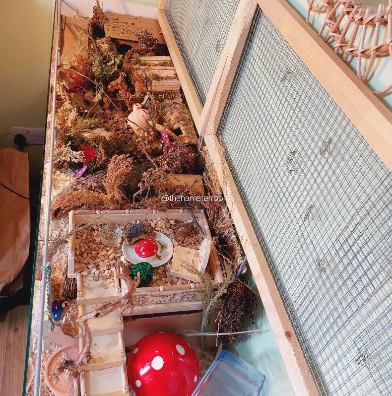 Crowded hamster cage setup for a robo hamster