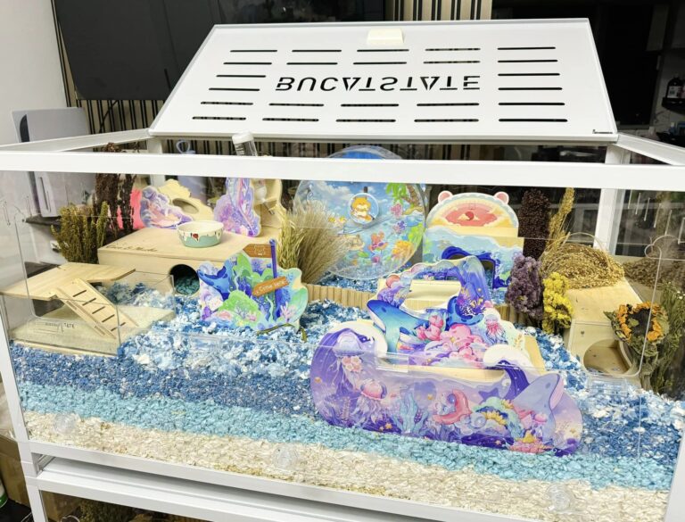 Hamster Cage Ideas for Your Hamster Setup