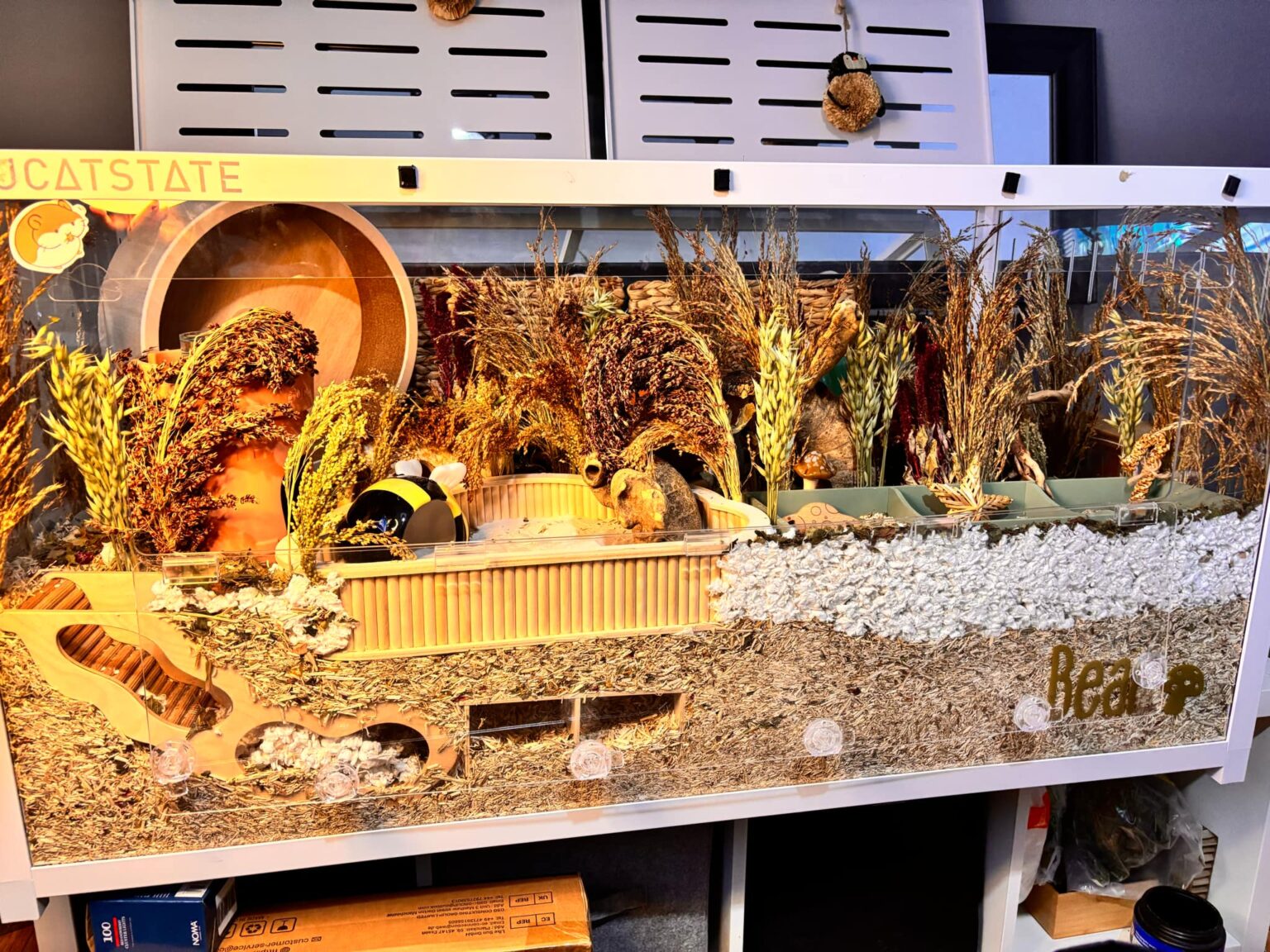 Image showcasing Hamster Cage Ideas for Your Hamster Setup